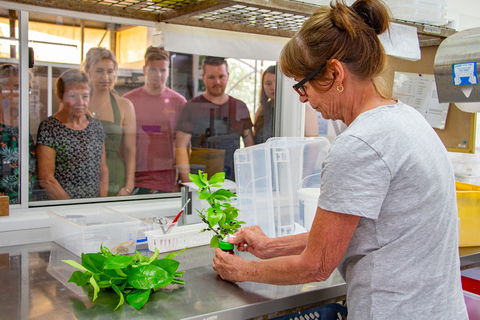 Cairns: Australian Butterfly Sanctuary