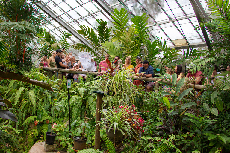 Cairns: sanctuaire australien des papillons