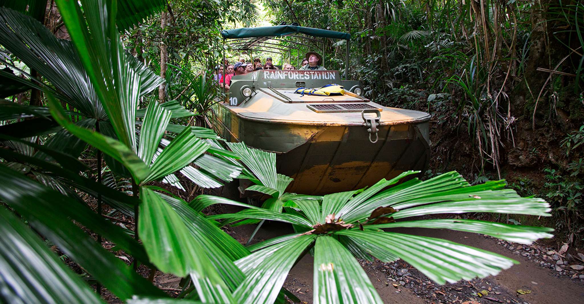 Kuranda, Parque Natural de la Selva Tropical - Hizvo