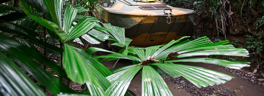 Kuranda : Parc naturel de la forêt tropicale