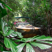 Kuranda: Rainforestation Nature Park