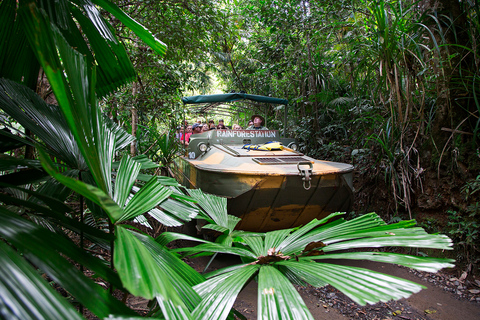 Kuranda: Geführte Tour durch den Naturpark RegenwaldNaturpark Kuranda Regenwald