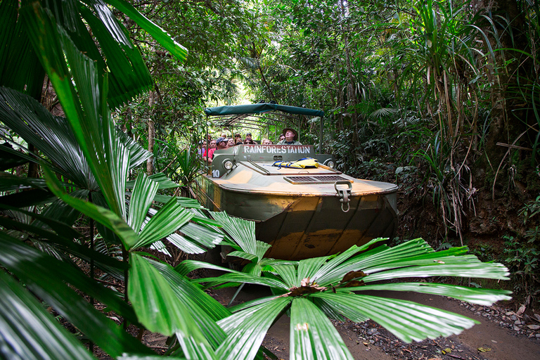 Kuranda: Geführte Tour durch den Naturpark RegenwaldNaturpark Kuranda Regenwald