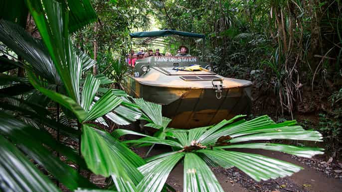 kuranda rainforestation nature park