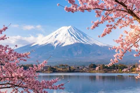 Tokyo: Mt Fuji & Lake Kawaguchi Private Day Trip - From $543