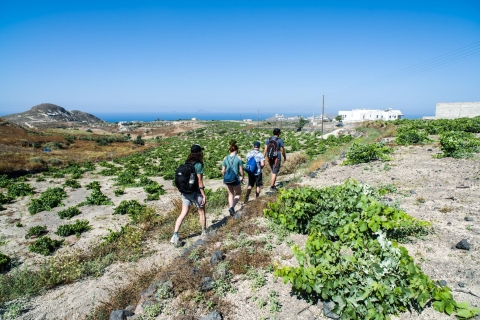 Santorini: lekcja gotowania, łatwa wędrówka i nurkowanie z rurką