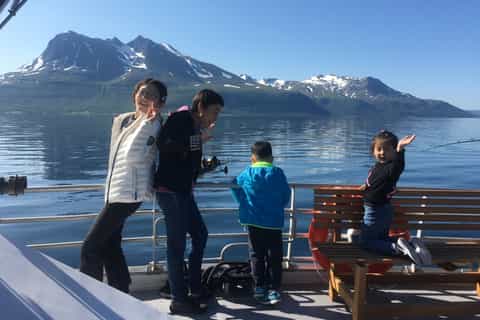 Tromsø: 5-Hour All-Inclusive Wildlife & Bird Fjord Cruise