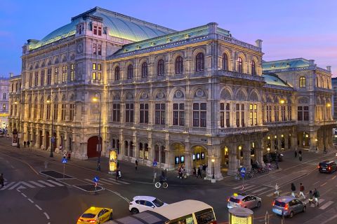 Viena: tour privado de música