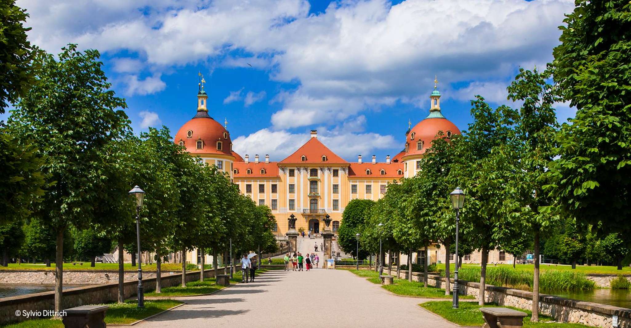 Dresden Regio Card por 1, 2 ó 3 días - Hizvo