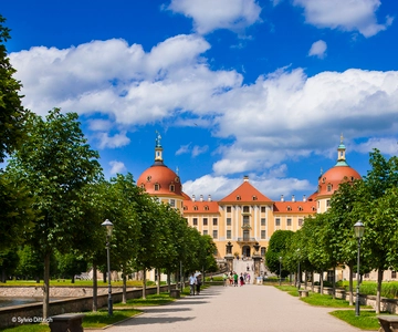 Dresden Regio Card for 1, 2, or 3 Days