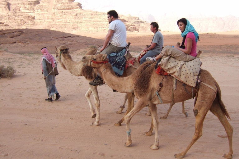 From Taghazout or Agadir: 2-Hour Beach & Sunset Camel Ride