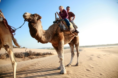 Desde Taghazout o Agadir: paseo en camello al atardecer y la playa de 2 horas