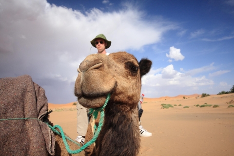 Z Taghazout lub Agadiru: 2-godzinna plaża i przejażdżka na wielbłądach o zachodzie słońca