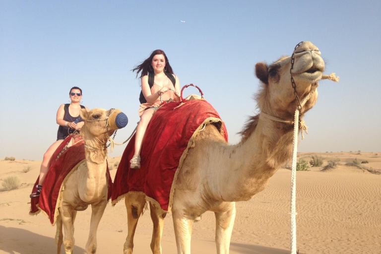 Z Taghazout lub Agadiru: 2-godzinna plaża i przejażdżka na wielbłądach o zachodzie słońca