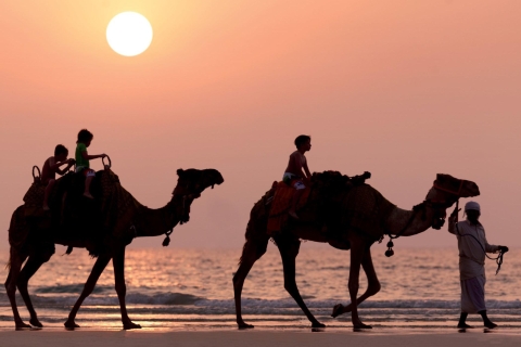 Van Taghazout of Agadir: 2 uur strand en kameelrit bij zonsondergang