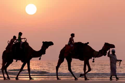da taghazout o agadir 2 ore di spiaggia e giro in cammello al tramonto