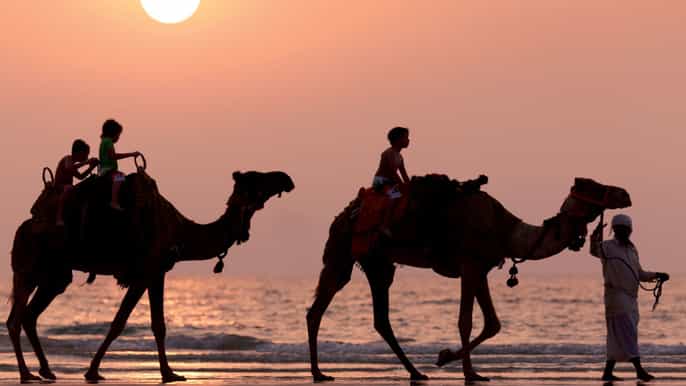 from taghazout or agadir 2hour beach sunset camel ride