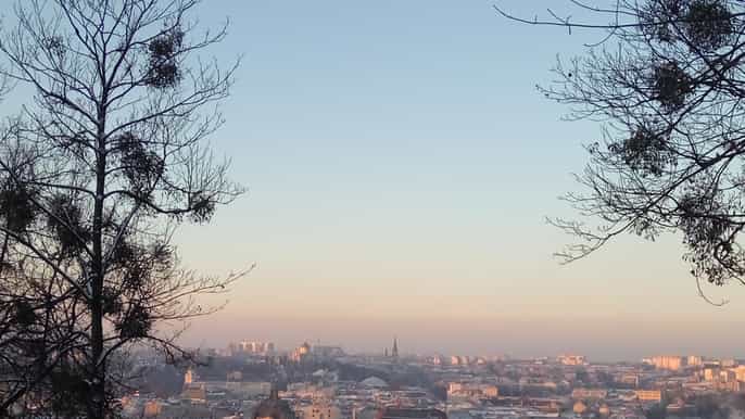 lviv fullday tour with an expert guide