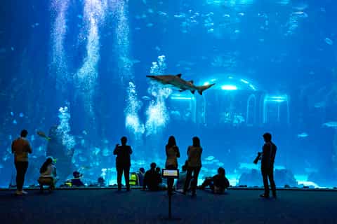 Gran Canaria: Poema del Mar Ticket with Optional Transport