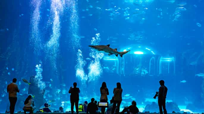 Gran Canaria: Poema del Mar Ticket with Optional Transport