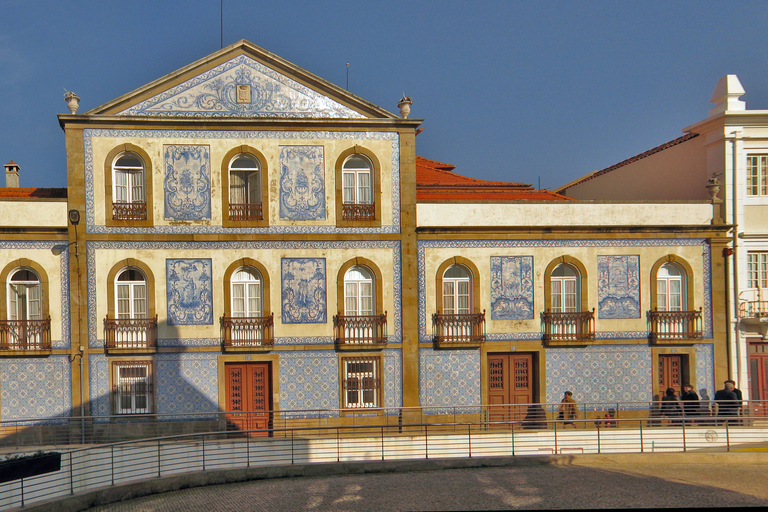 Aveiro : visite d’une demi-journée avec croisière