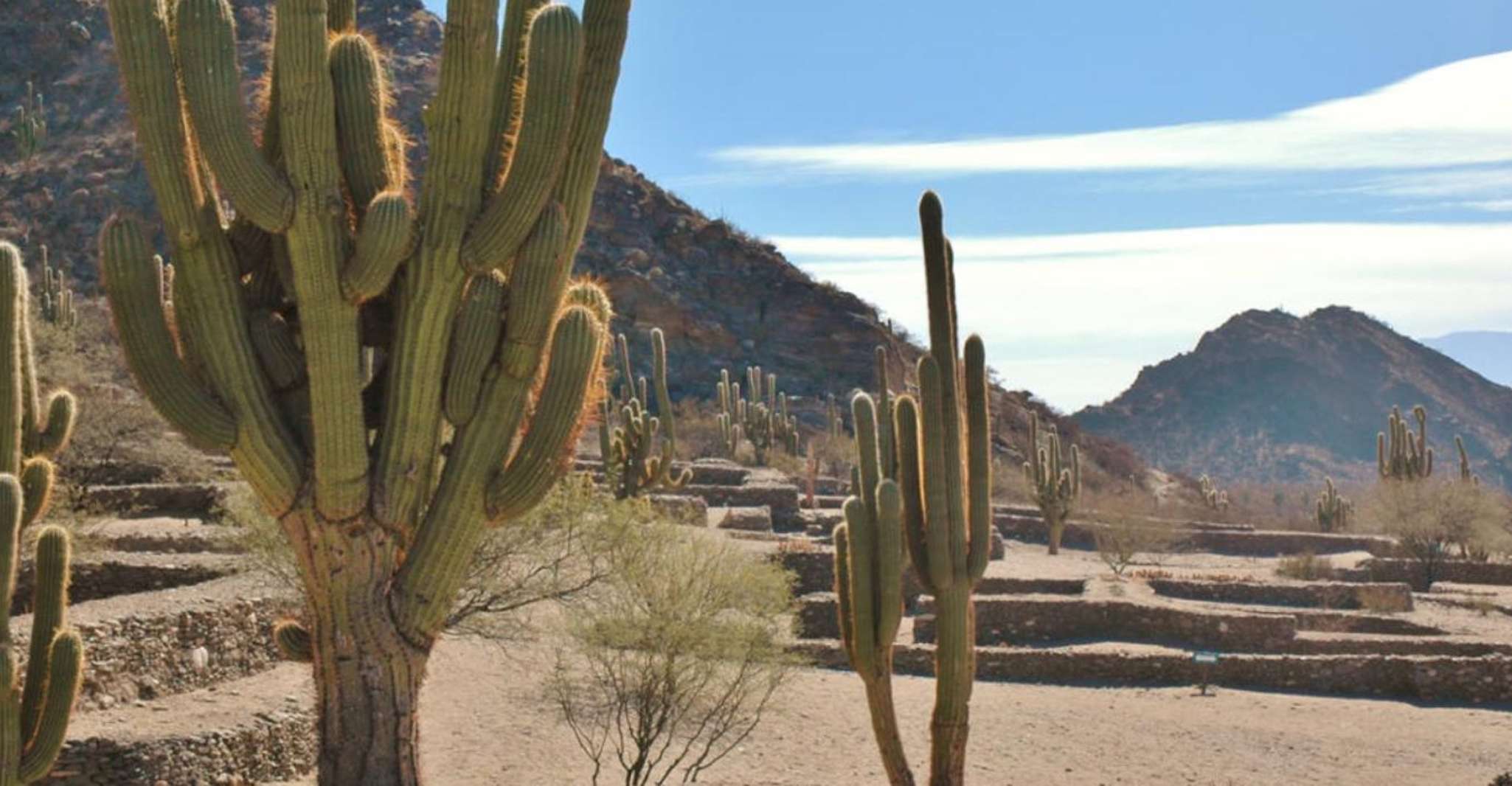 From Tucumán, Tafí del Valle, Quilmes Ruins and Cafayate - Housity