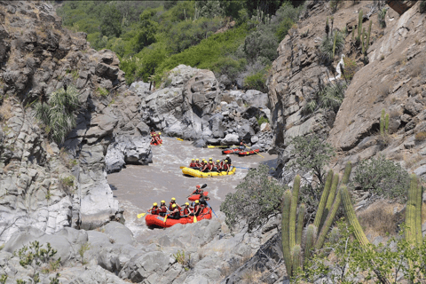 From Santiago: Rafting in the Maipo Canyon Meeting Point at Rafting Ruta Vertical in San José del Maipo