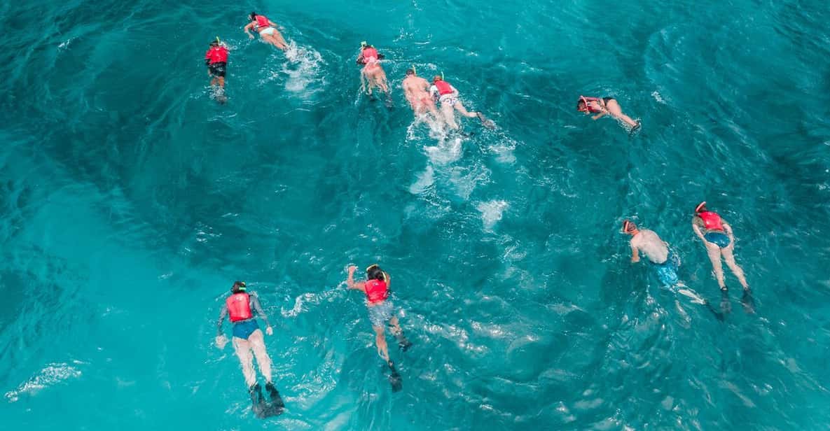 Ceiba, PR: Culebra Kayak & Snorkel Tour with Ferry Tickets