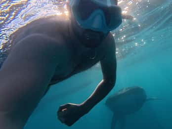 Cebu:Oslob WhaleSharkWatching,Kawasan Canyoneering