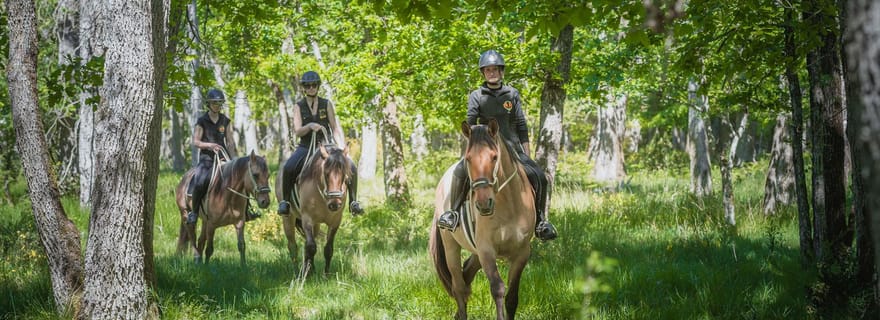Randonnée à cheval en forêt de fontainebleau