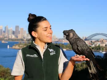 Taronga Zoo Sydney – Eintrittskarte Taronga Zoo Sydney – Eintrittskarte