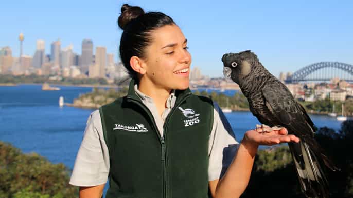 taronga zoo sydney tickets