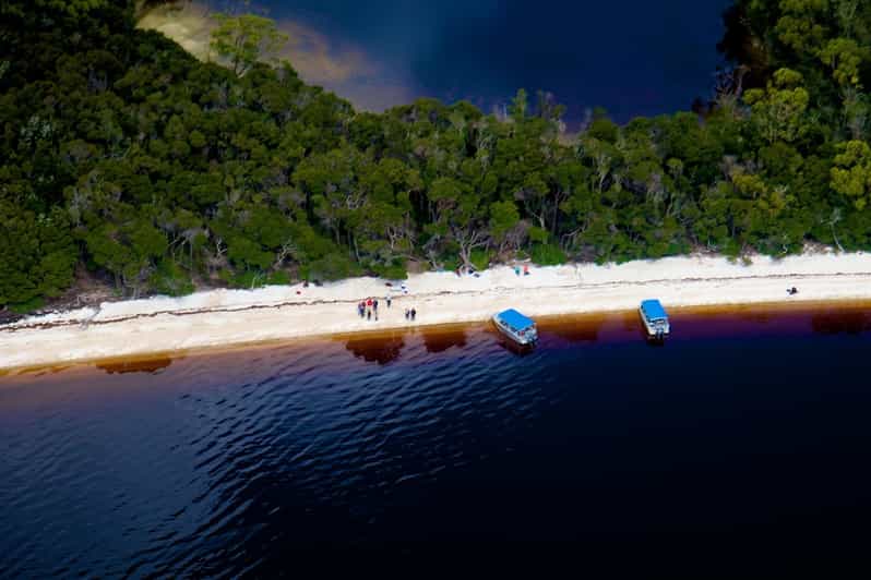 Tasmanian Wilderness World Heritage Area Day Tour GetYourGuide