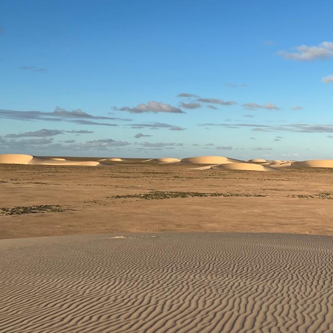 Dakhla : excursion en 4x4 dans le désert de Sbita avec pause thé