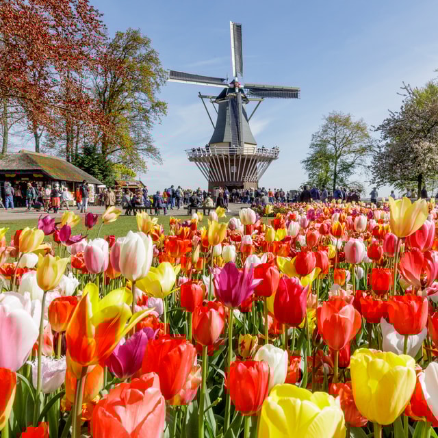 Lisse: Ticket für den Eintritt