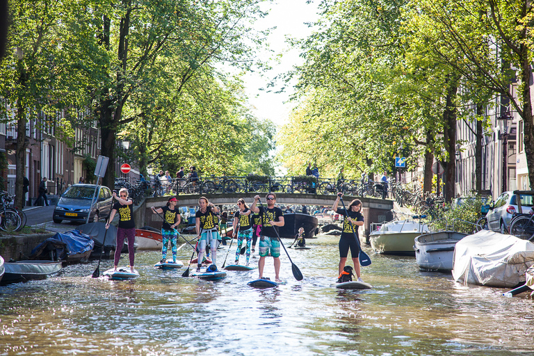 Amsterdã: Tour Stand Up Paddle Board de 2 horas