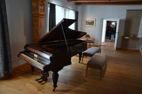Van Warschau: tour naar Chopin's Birthplace - Żelazowa WolaStandaard optie