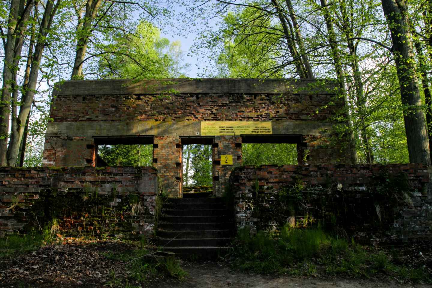 바르샤바: 비밀 늑대소굴 하루 투어