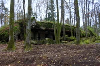 Warschau, private Ganztages-Wolfs-Lair-Tour - Housity