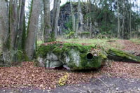 Warschau, private Ganztages-Wolfs-Lair-Tour - Housity