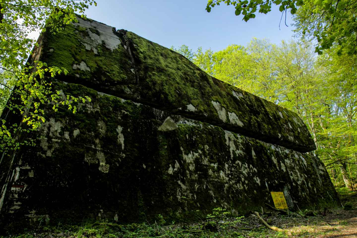 바르샤바: 비밀 늑대소굴 하루 투어