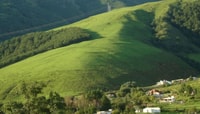 Tucumán, Tafí del Valle Full Day Tour - Housity