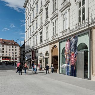 Wenen: toegang tot het Dom Museum Wien