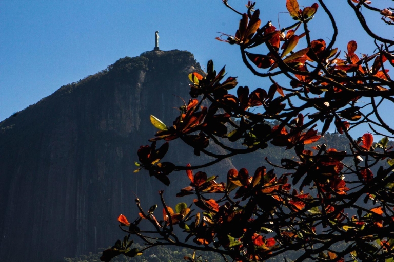 Rio de Janeiro: Guided Bike Tours in Small Groups 4-Hour Panoramic Tour: Botafogo, Flamengo Park & Old Rio
