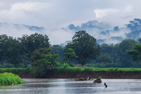 From San José: Carara National Park and Tárcoles River Tour Group Tour with Boat Ride