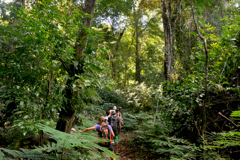 Desde San José: Parque Nacional de Carara y Excursión al Río TárcolesTour en grupo con paseo en barco