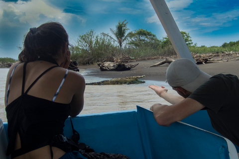 From San José: Carara National Park and Tárcoles River Tour Group Tour with Boat Ride