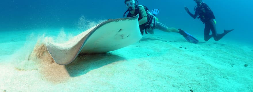 Visite d'une demi-journée Aventures de plongée Plongée en double bouteille