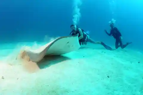 Half-Day Tour Dive Adventures Double Tank Dive