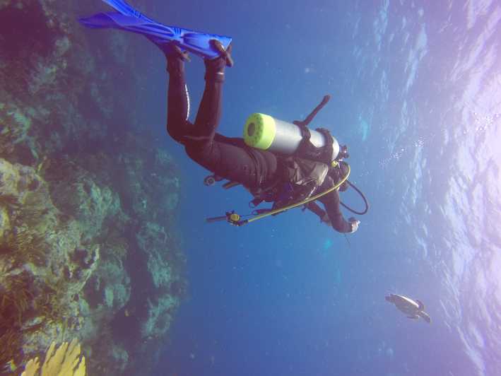 Discover Scuba Diving on St. Maarten